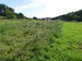 P1050464.JPG