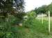 P1050465.JPG